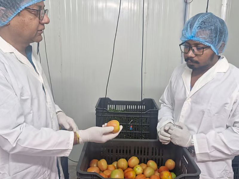 নতুন এই হিমাগার প্রযুক্তি কি কৃষককে স্বস্তি দেবে